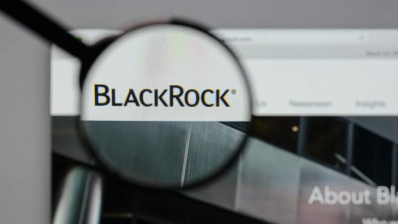 BlackRock bought 4x more of this crypto than Bitcoin last week