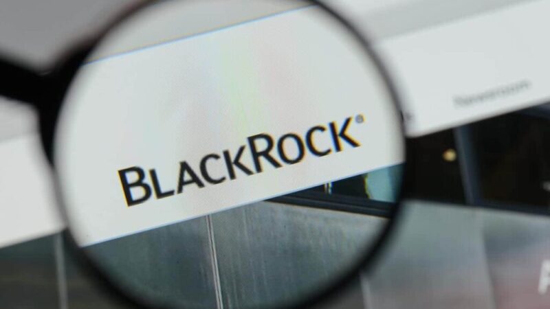This crypto is now BlackRock’s 3rd largest holding