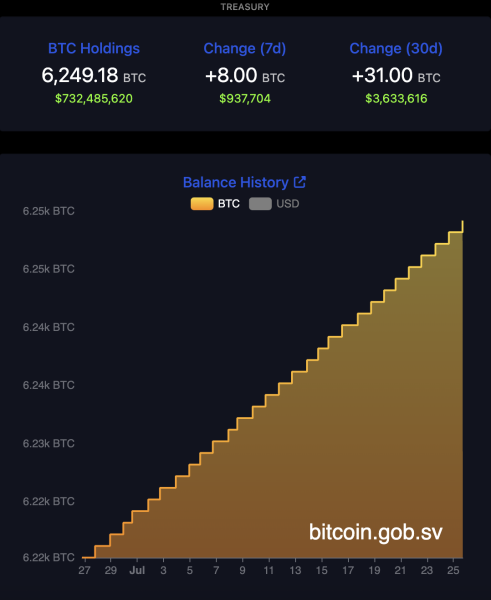 El Salvador’s Bitcoin reserve fails to help the average citizen — NGO exec0