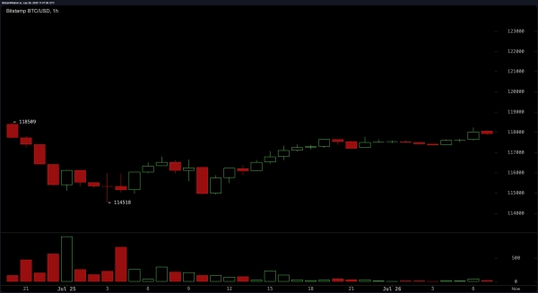 Bitcoin Price Watch: Bullish Bias Remains Above $114K Floor2