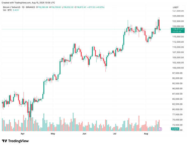 Bitcoin Holds Near $119,000 As Lower Leverage Reduces Correction Risk1
