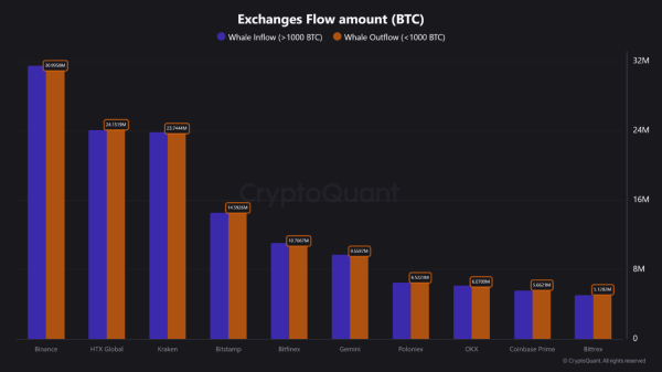 Over 56 Million Whale Trades on Binance, Is Bitcoin Headed for Another Correction?