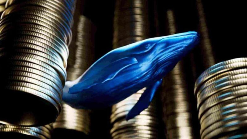 Whales scoop 900 million XRP in 48 hours