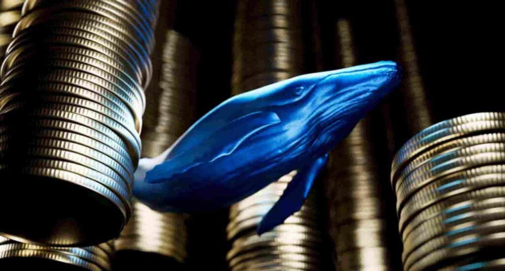 Whales scoop 900 million XRP in 48 hours