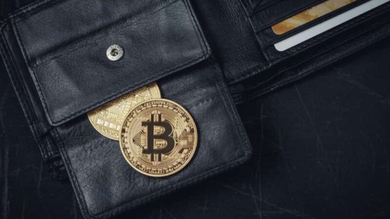 Bitcoin’s new addresses hit record surge in 2025