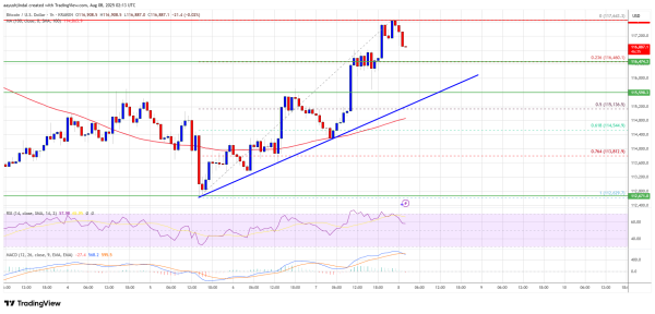 Bitcoin Price Roars Awake – $120K Within Striking Distance