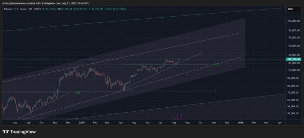 Here’s a ‘Conservative’ Price Target for Bitcoin Rally Top, According to Trader That Called 2021 Crypto Collapse