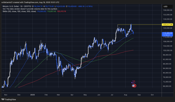 Bitcoin Short-Term Holders Flip To Losses For First Time Since January1