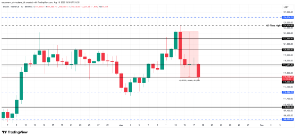Bitcoin Price Falls As The Two Most Important BTC Holders Sell – Weekly Whale Watch2