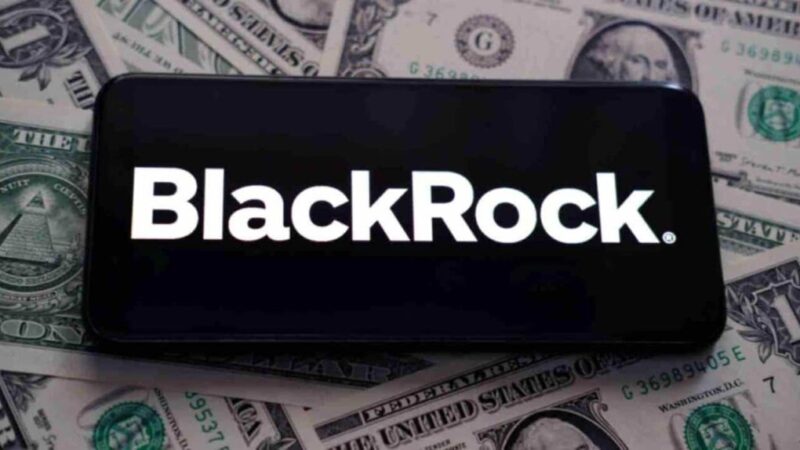 This BlackRock crypto is the biggest market loser among top 100 coins