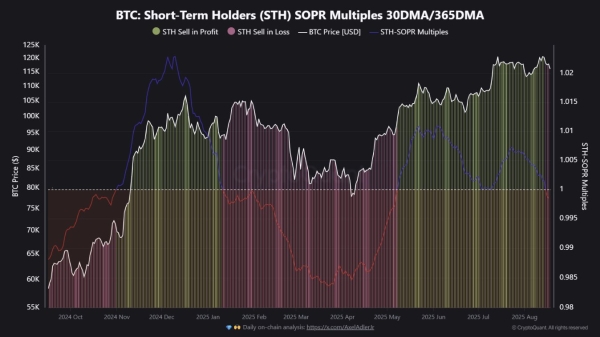 Bitcoin Short-Term Holders Flip To Losses For First Time Since January