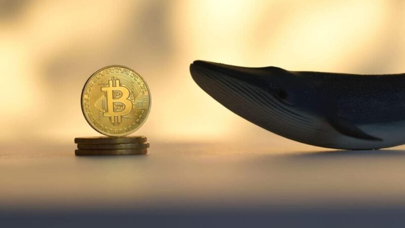 Whales dump over $3 billion in Bitcoin; Crash to $100k next?