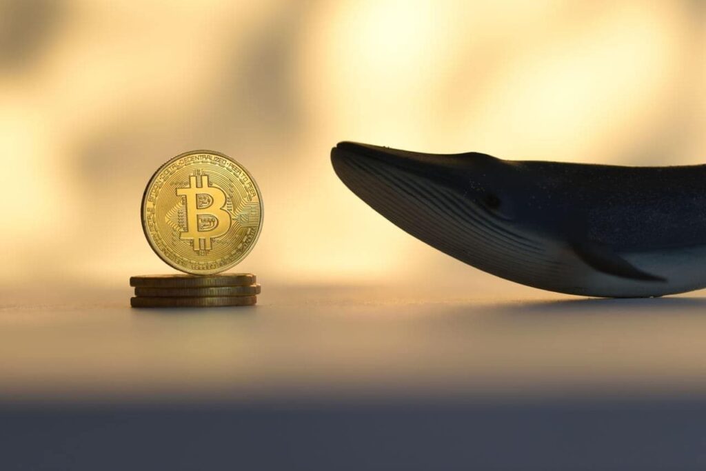 Whales dump over $3 billion in Bitcoin; Crash to $100k next?