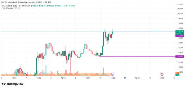 Bitcoin (BTC) Price Prediction for August 101