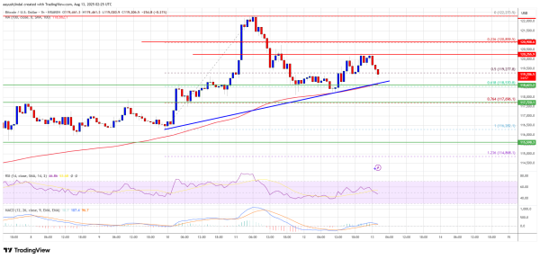 Bitcoin Price Trades Sideways Under $120K—Will Bulls Regain Control?