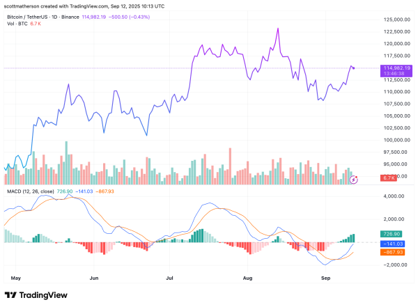Bitcoin Price Flashes ‘Rarest Signal’ Ever, Is A 100% Rally Possible?1