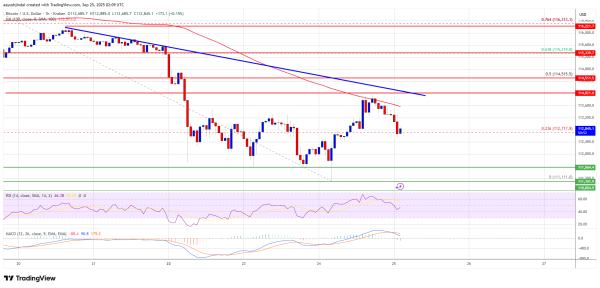 Bitcoin Price Struggles Again – Will Bears Push Price Into Deeper Decline Soon?