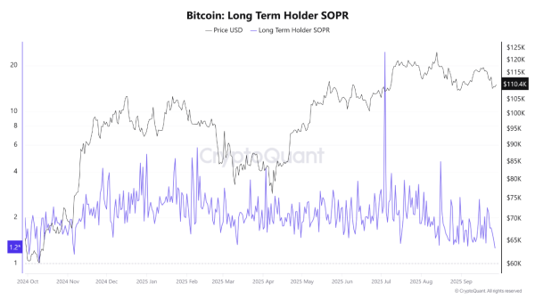 Bitcoin Bull Market Endures as On-Chain Data Confirms Strength1