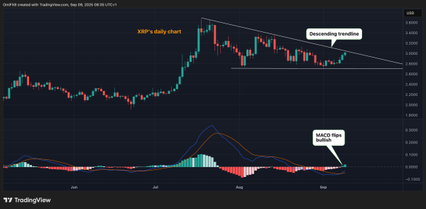 BTC/USD and DOGE/BTC Race Towards Bullish Breakout; XRP MACD Turns Bullish1