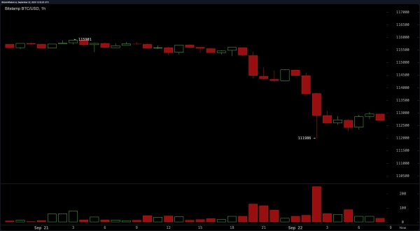 Bitcoin Price Watch: $2.24 Trillion Market Cap Faces Technical Crossroads2