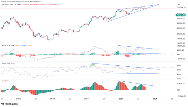 Bitcoin price pattern signals a steeper crypto market crash