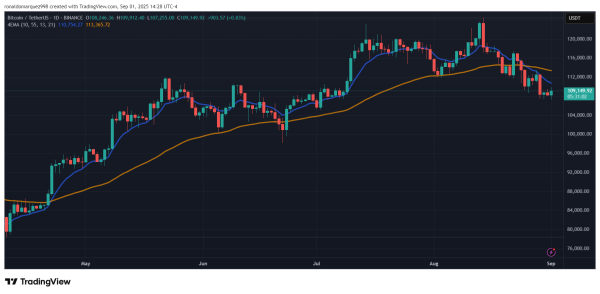 If This Key Support Fails, Bitcoin Could Plummet To $90,000, Warns Leading Analyst