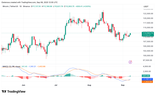 Bitcoin Finds Crucial Support On Bull Market Band — Will Momentum Hold1