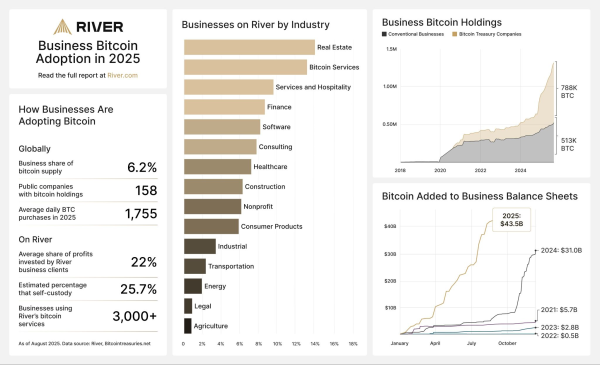 Businesses are recycling 22% of profits into Bitcoin, says River