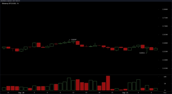 Bitcoin Price Watch: Tight Range Signals Imminent Breakout or Breakdown