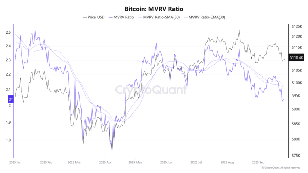 Bitcoin Bull Market Endures as On-Chain Data Confirms Strength