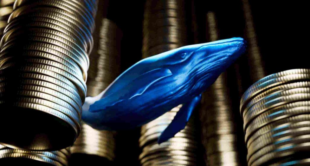 XRP whales scoop up 120 million tokens 