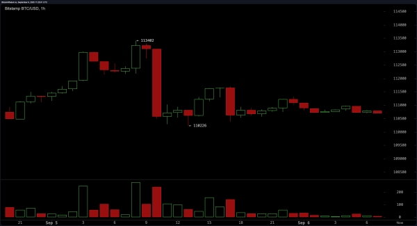 Bitcoin Price Watch: $110K Support in Play After Another Rejection at $113K2