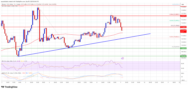 Bitcoin Price Struggles Near $113K – Will Bulls Force a Break?