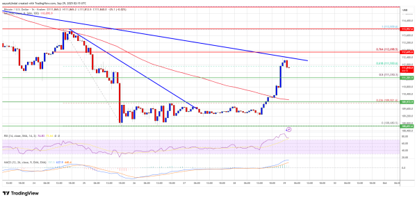 Bitcoin Bounces Back – Could Current Recovery Trigger Fresh Bullish Momentum?