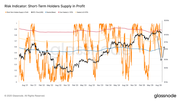 This Historical Recurrence Suggests Bitcoin Price May Not Slip Below $110,0001