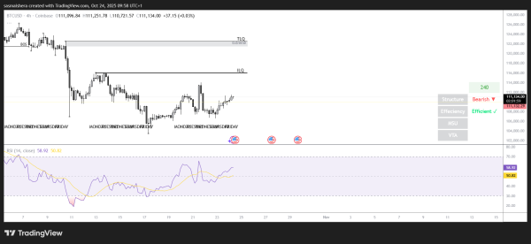 Bitcoin price forecast: BTC reclaims $111k, shows signs of recovery
