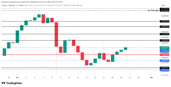 Bitcoin’s Path To $120,000 Could Be Delayed as Illiquid Supply Shrinks2