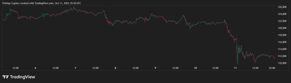 Bitcoin Flash Crash Confirms a Reset Before the Next Rally…Here’s Why