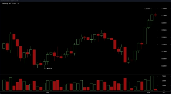 Bitcoin Price Watch: Sky-High Momentum Meets Fading Volume