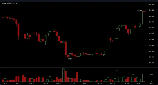 Bitcoin Price Watch: Bull Flag Flying High on the Hourly Chart1