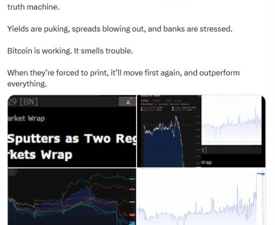 ‘Bitcoin smells trouble’ as banks are stressed and ‘yields are puking’ – Strike CEO