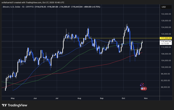 Bitcoin Supply In Profit Rises To 83.6% – Market Momentum Building Again1