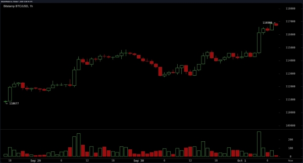 Bitcoin Price Watch: Bull Flag Flying High on the Hourly Chart2