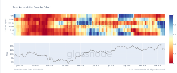 Bitcoin Faces Heavy Selling Pressure Despite Seasonal Bullish Expectations1