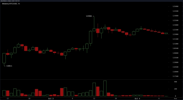 Bitcoin Price Watch: Sky-High Momentum Meets Fading Volume2