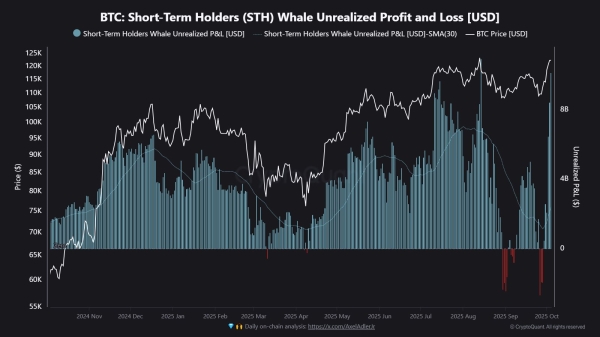 Bitcoin STH Whale Profits Hit $10.1 Billion, Highest For The Cycle