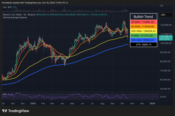 Satoshi's Bitcoin stash declined by over $20B from all-time high amid crash1