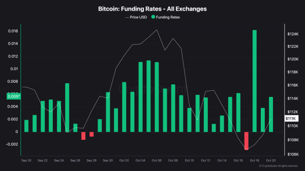 Bitcoin Hits Key Support: Bull Run or Bull Trap?