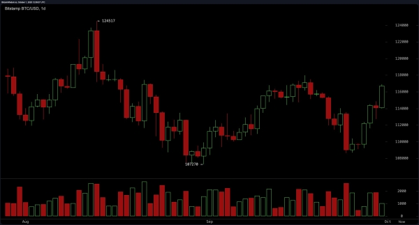 Bitcoin Price Watch: Bull Flag Flying High on the Hourly Chart