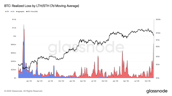 Did Bitcoin Just Bottom Out? What the Data Says About a Rebound1